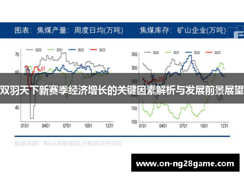 双羽天下新赛季经济增长的关键因素解析与发展前景展望