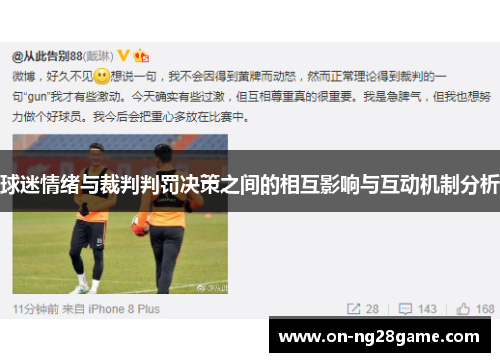球迷情绪与裁判判罚决策之间的相互影响与互动机制分析