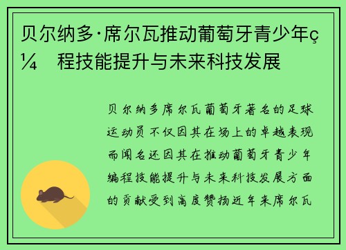 贝尔纳多·席尔瓦推动葡萄牙青少年编程技能提升与未来科技发展 贝尔纳多·席尔瓦推动葡萄牙青少年编程技能提升与未来科技发展